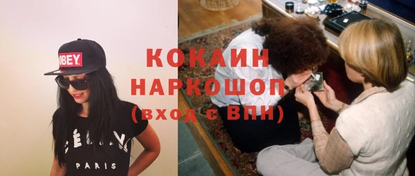 соль ск Богородицк