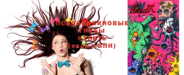 дмт Лиски