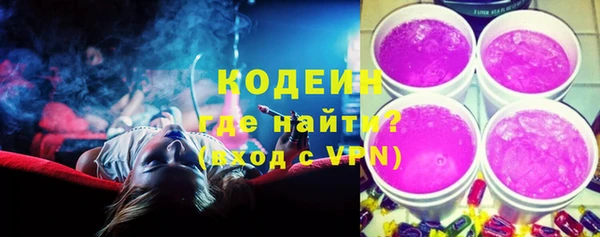 гашик Лабытнанги