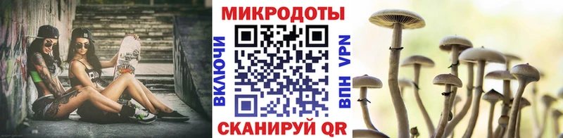 Псилоцибиновые грибы Psilocybe  Верхоянск 
